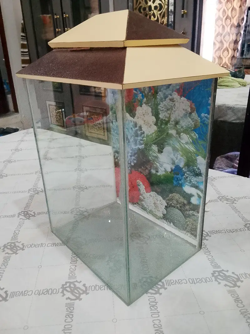 fish aquarium — photo 6