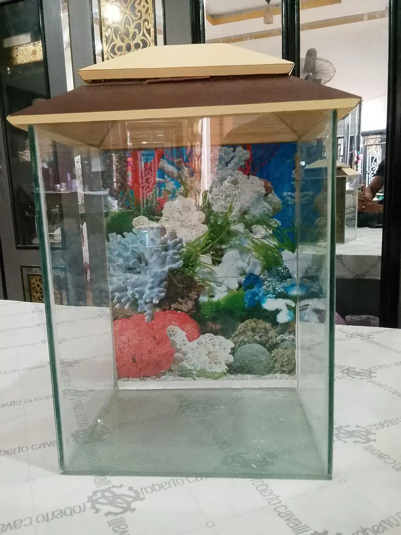 fish aquarium — photo 7