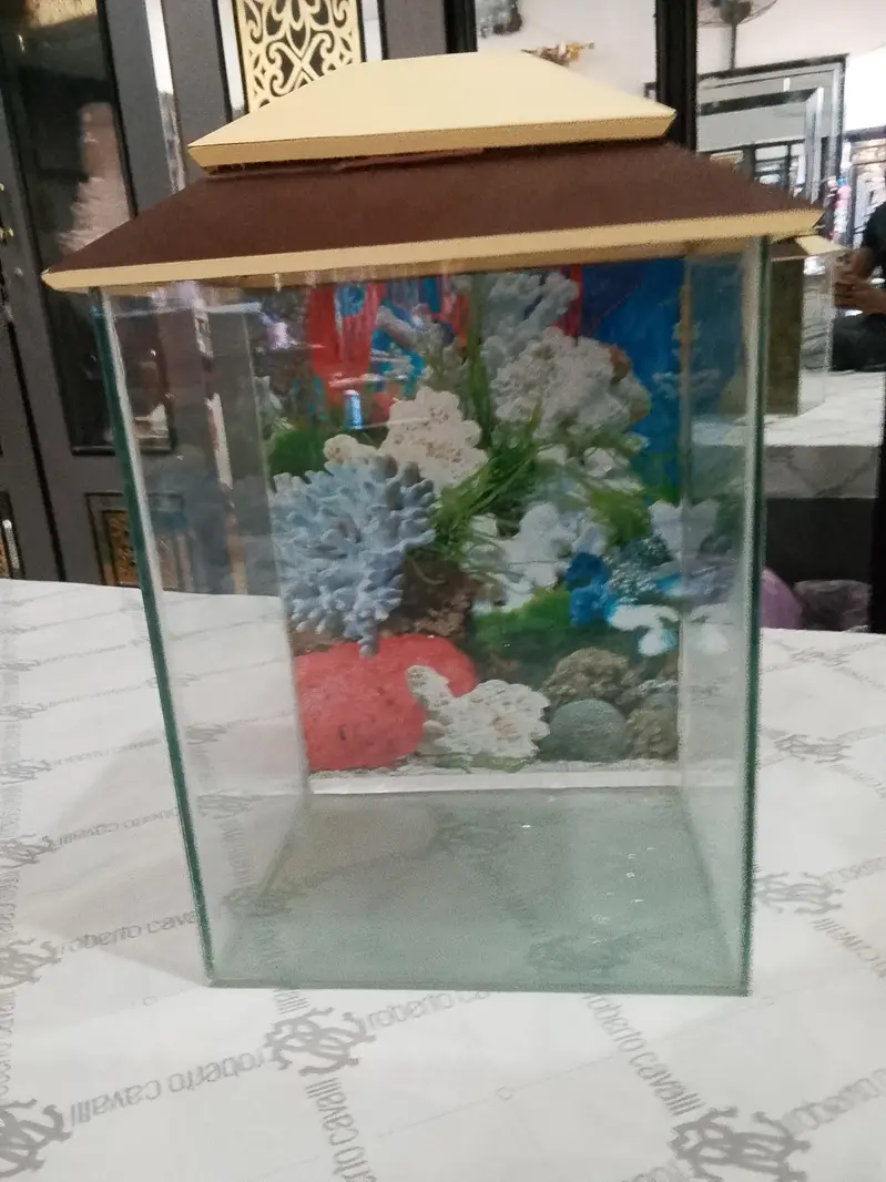 fish aquarium — photo 8