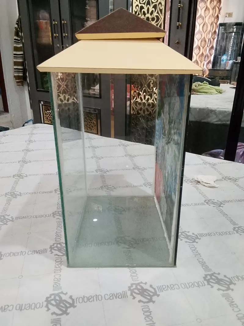 fish aquarium — photo 9