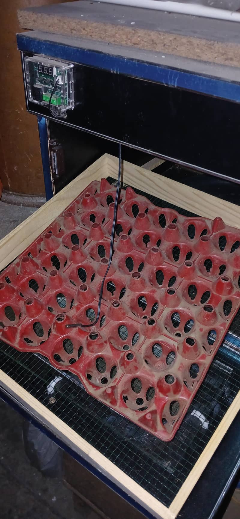 Incubator 1