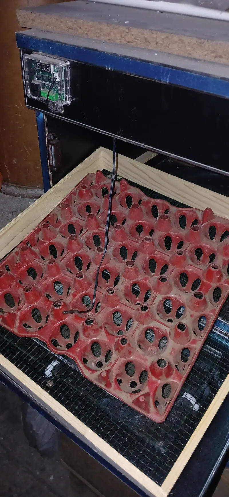 Incubator — photo 2