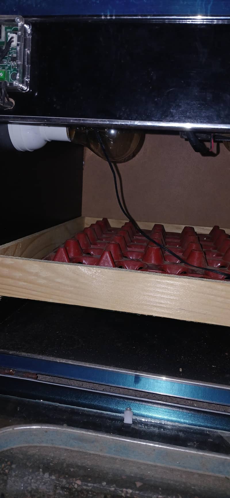 Incubator 3