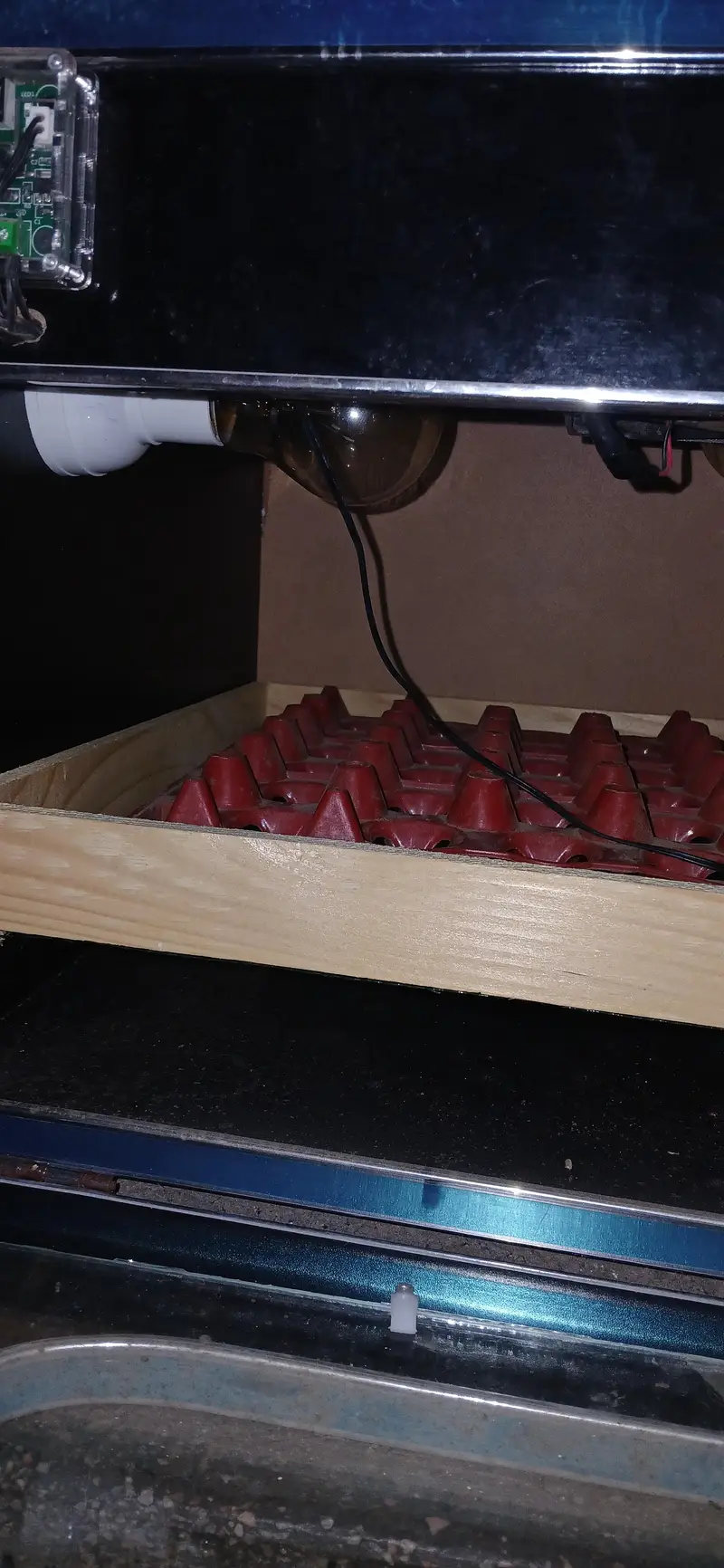 Incubator — photo 4