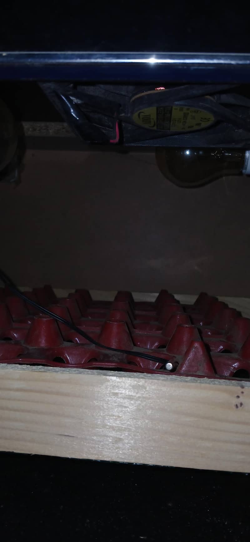 Incubator 4