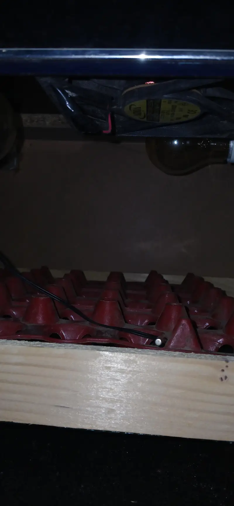 Incubator — photo 5