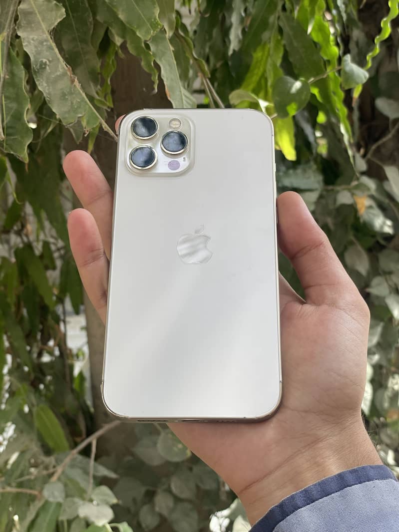 Apple iPhone 12 Pro 0