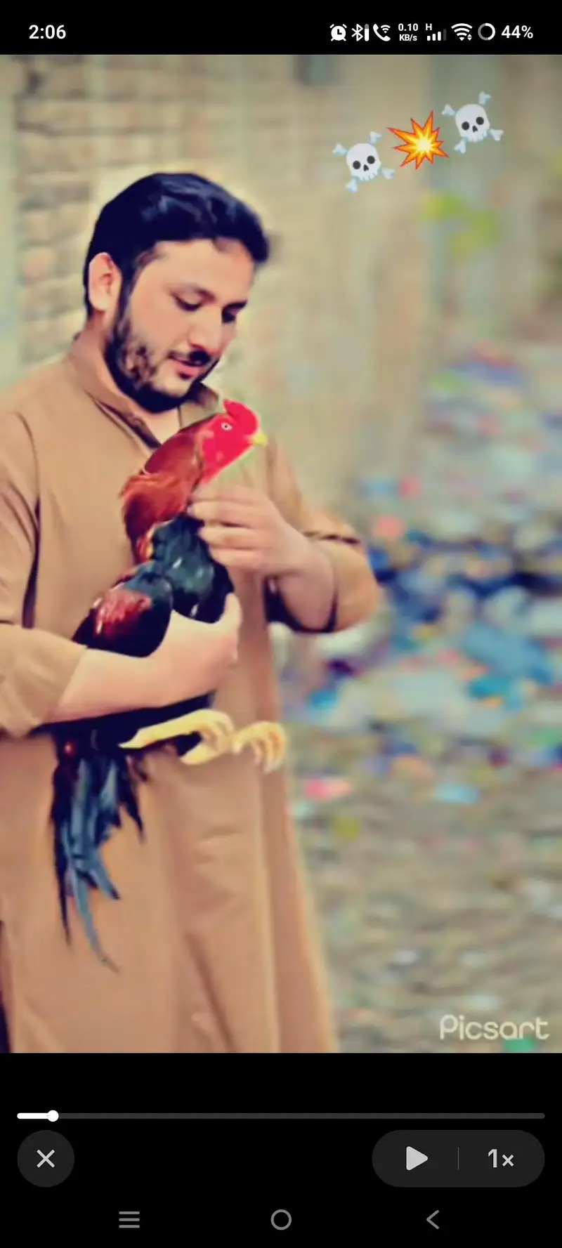 aseel full murga hai 10by10 samj ay mese kry nbm nichy h — photo 3