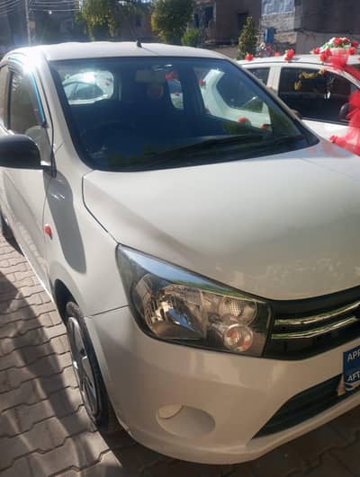 Suzuki cultus