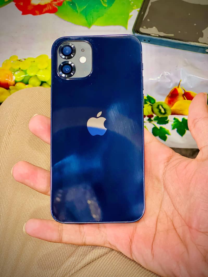 Apple iPhone 12 1