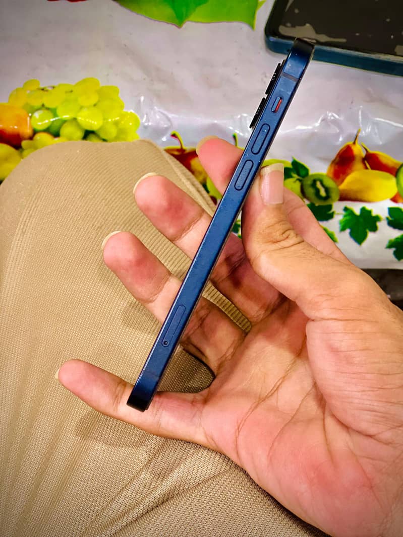 Apple iPhone 12 2