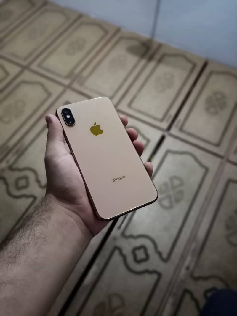 Apple iPhone XS 1