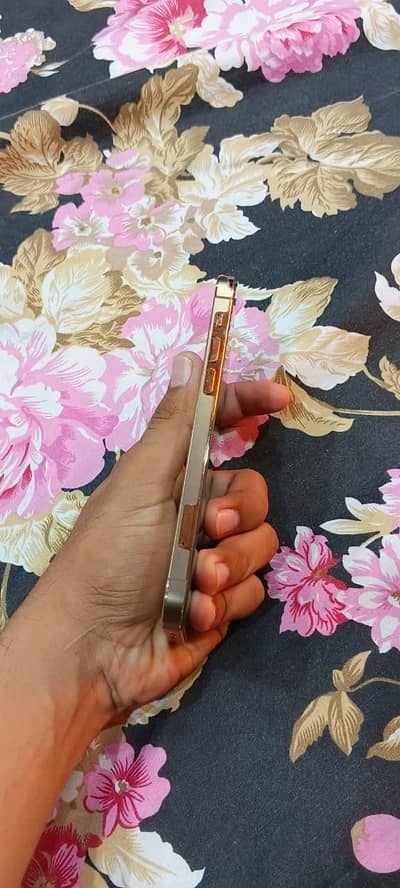 Apple iPhone 12 Pro