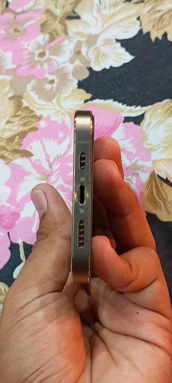Apple iPhone 12 Pro 1