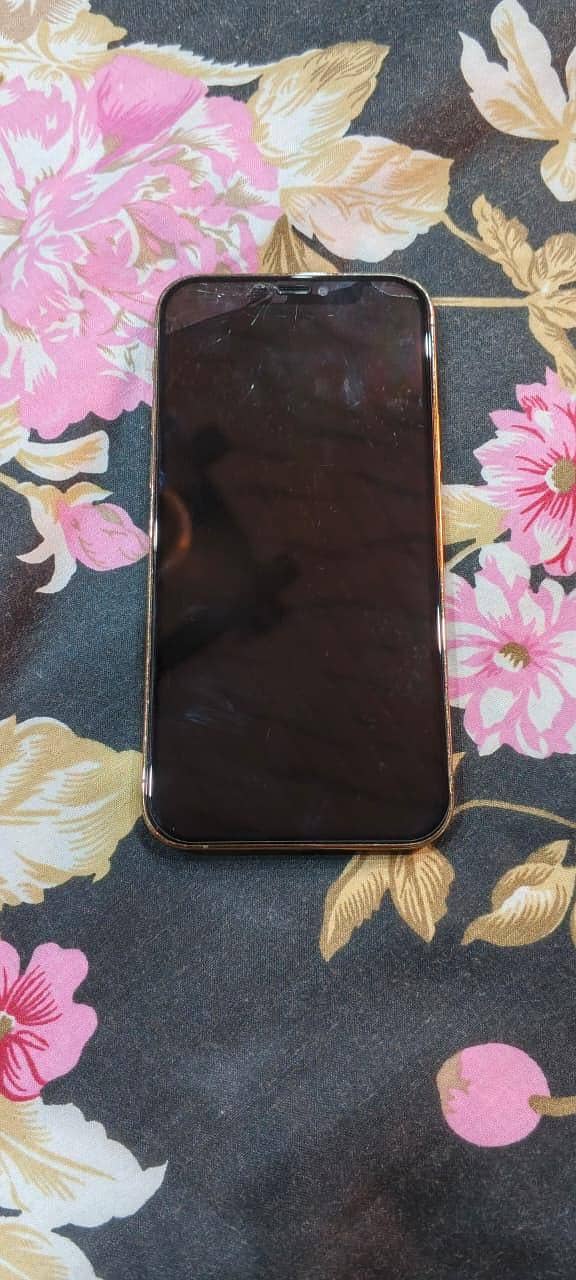 Apple iPhone 12 Pro 2