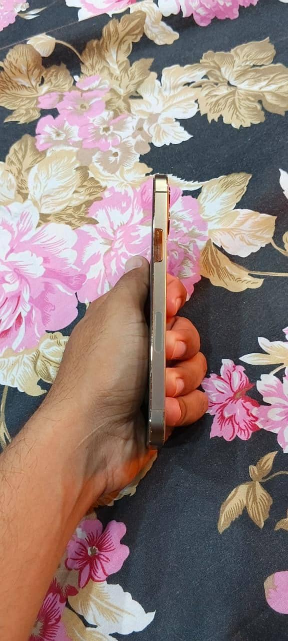 Apple iPhone 12 Pro 10