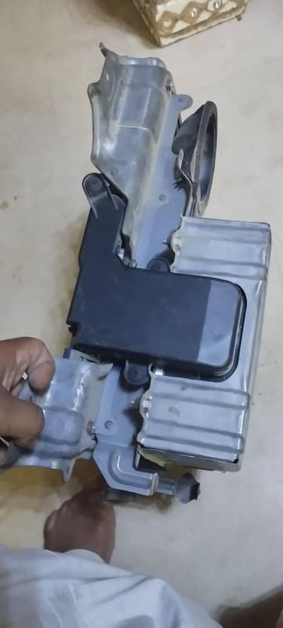 reborn hiberd batter for sell