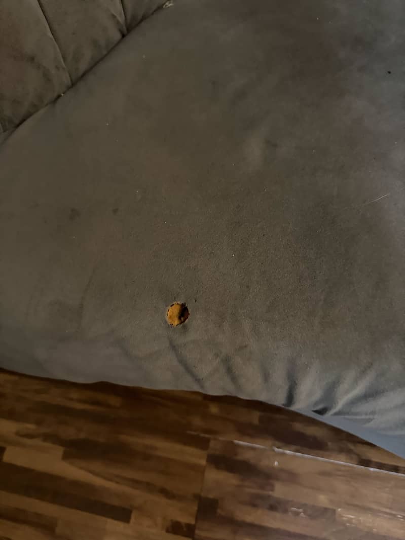 4 seater sofa 3