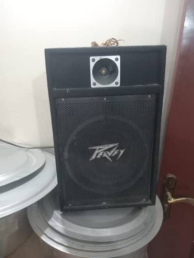 Echo speaker