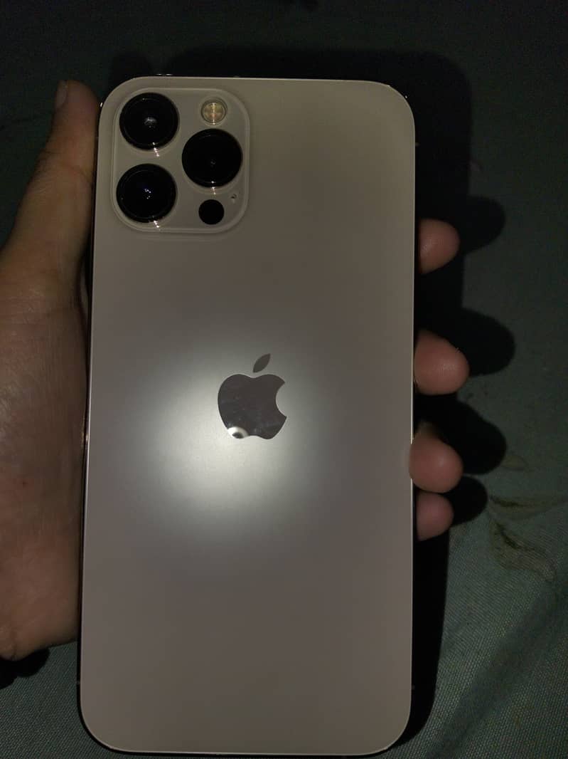 Apple iPhone 12 Pro Max 1