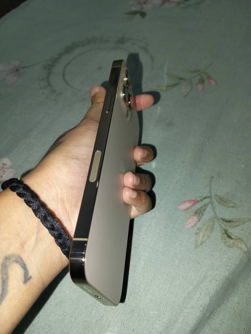 Apple iPhone 12 Pro Max 2
