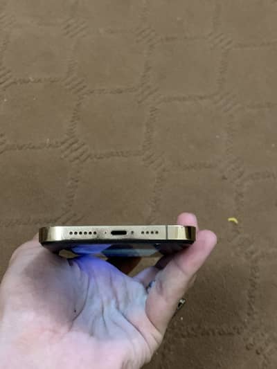 Apple iPhone 12 Pro Max