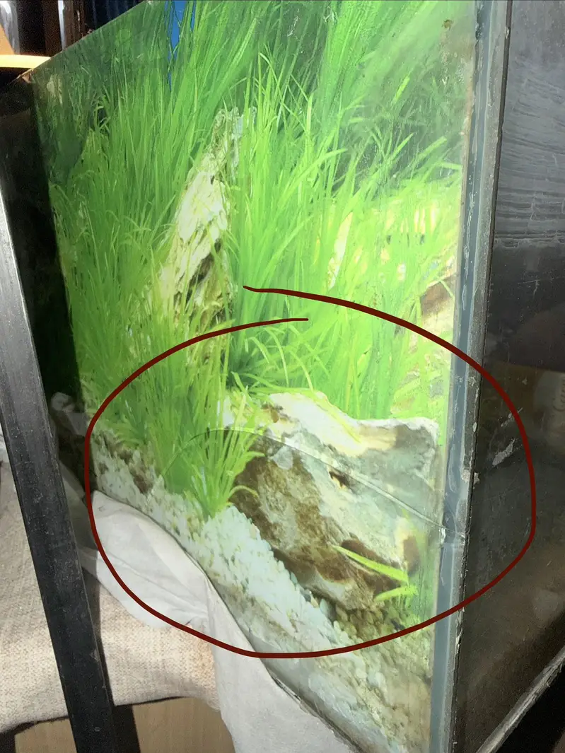 Aquarium — photo 5