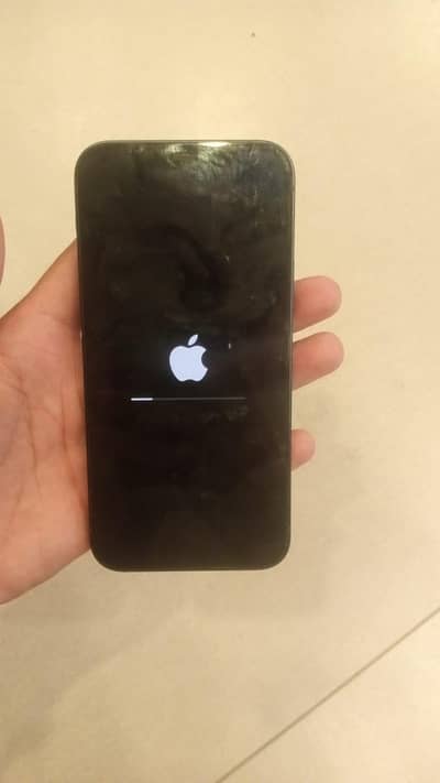Apple iPhone 12