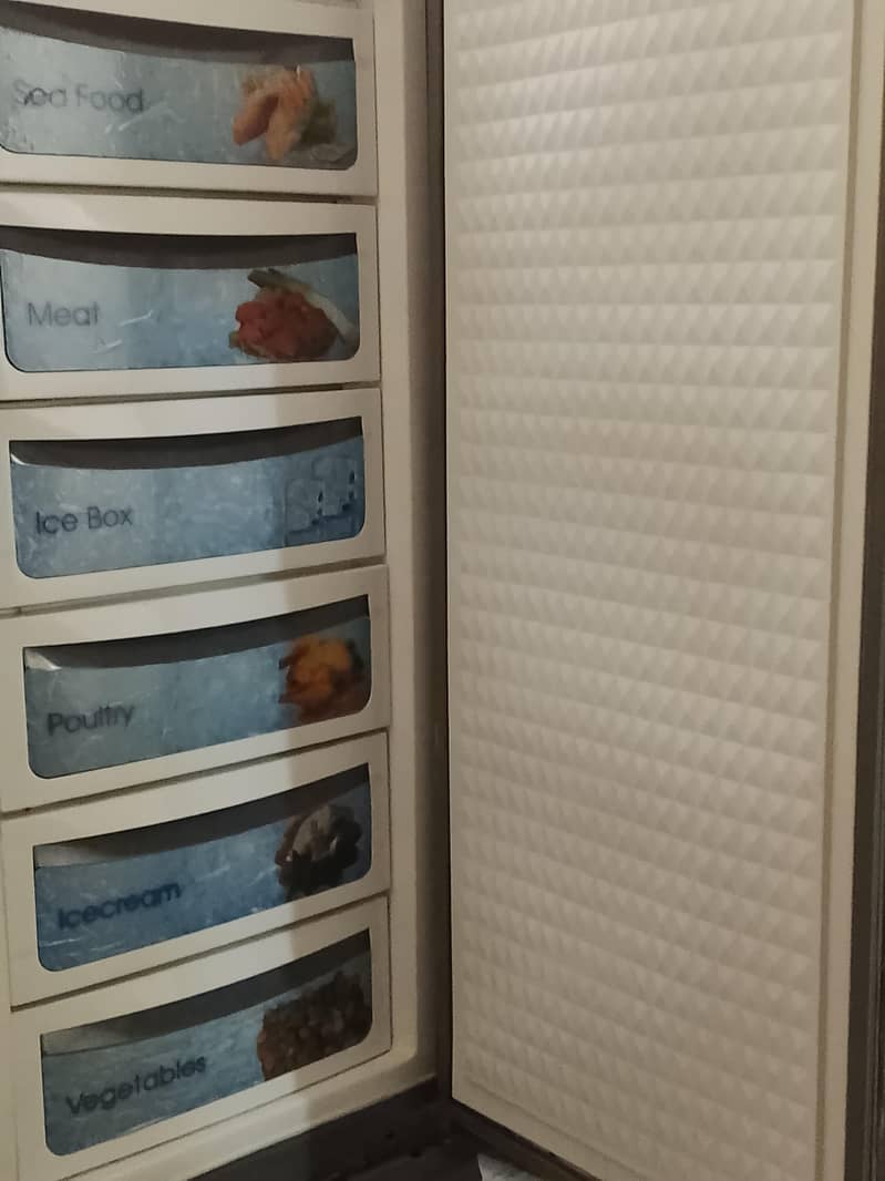 freezer 1