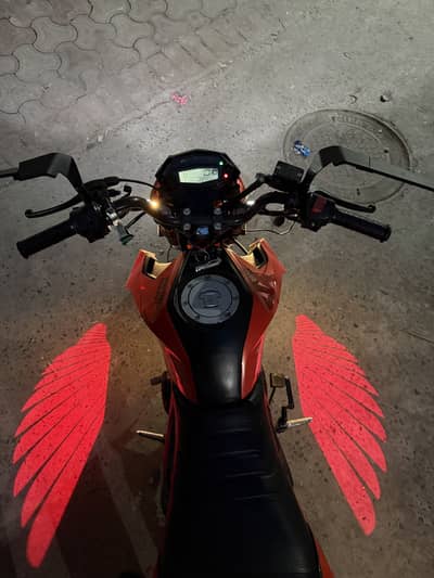 Angel wings  Light