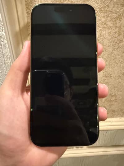 Apple iPhone 16 Pro
