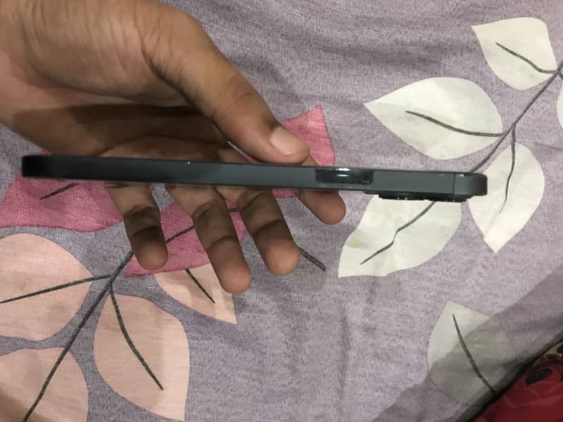 Apple iPhone 12 Pro Max 1