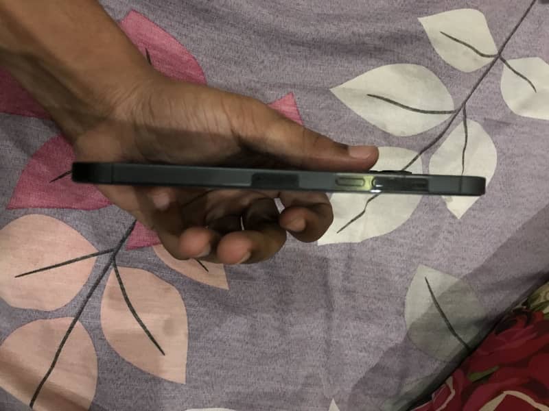 Apple iPhone 12 Pro Max 2