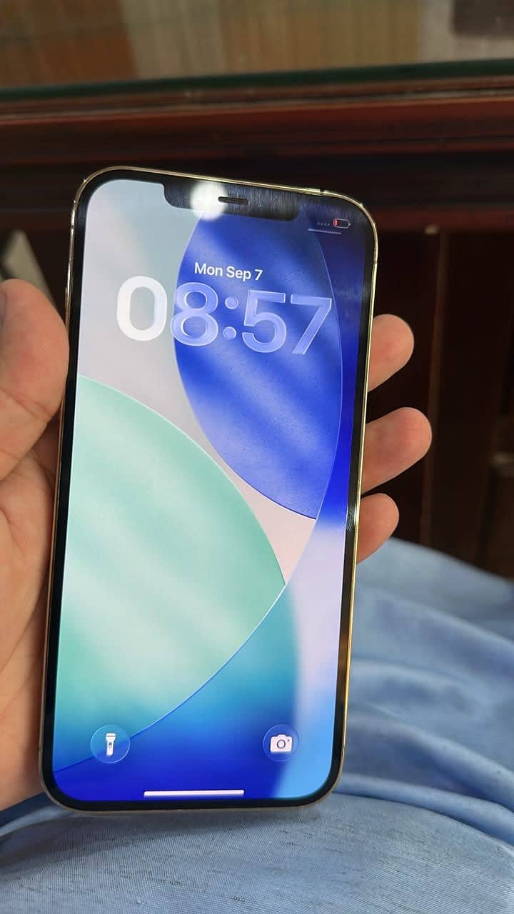 Apple iPhone 12 Pro Max 4