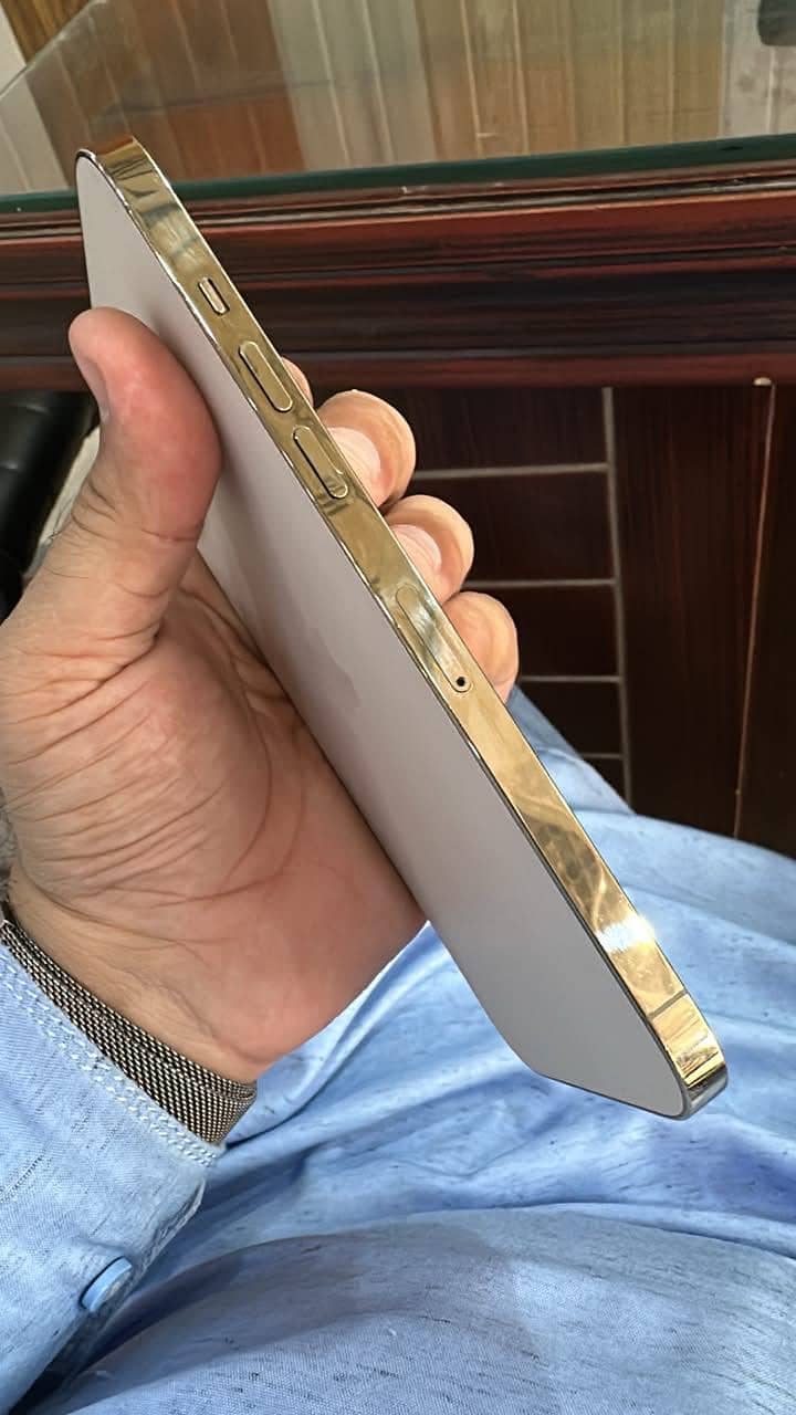 Apple iPhone 12 Pro Max 5
