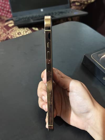 Apple iPhone 12 Pro Max