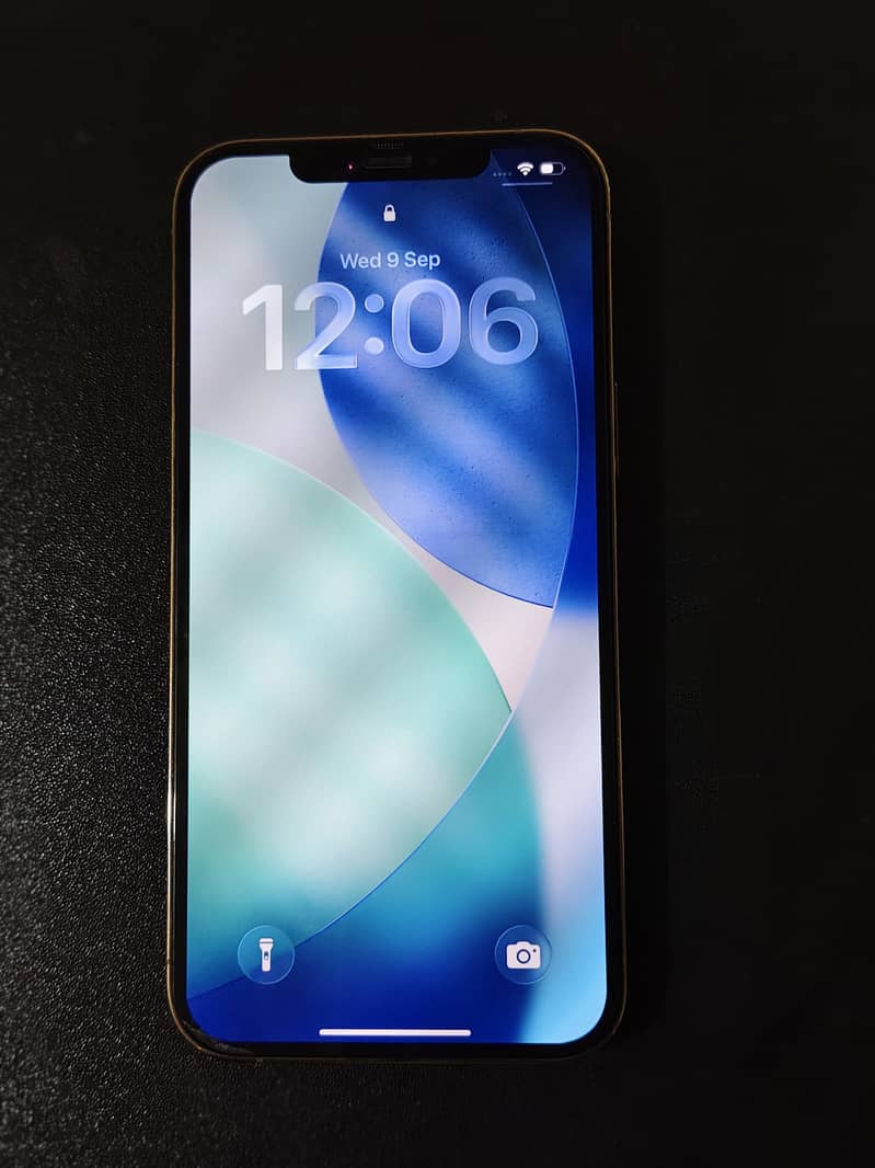 Apple iPhone 12 Pro Max 1