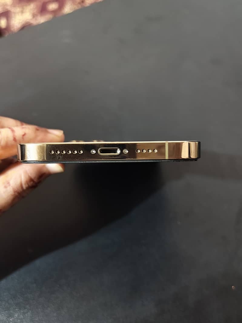 Apple iPhone 12 Pro Max 3