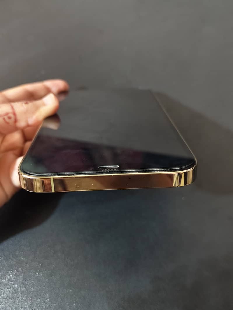 Apple iPhone 12 Pro Max 6