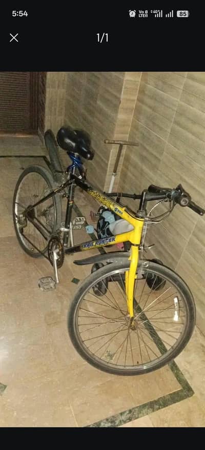 japanese bicycle