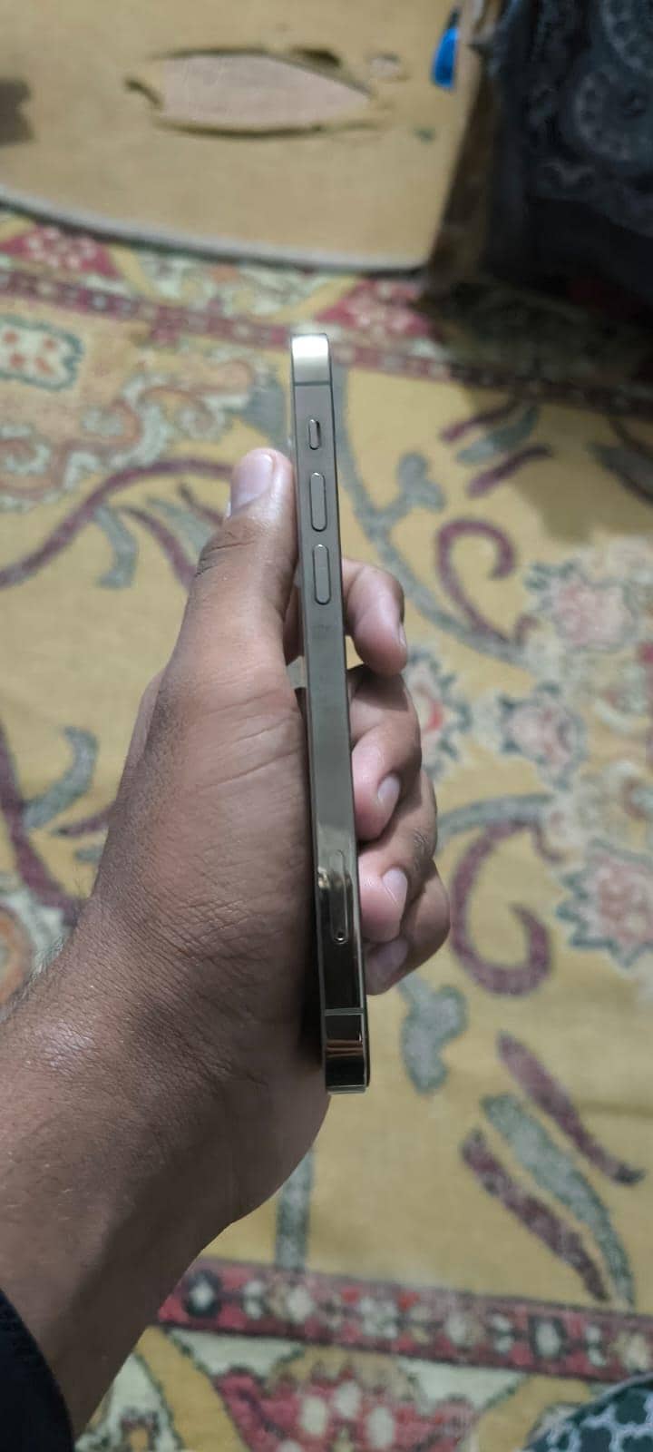 Apple iPhone 12 pro 4