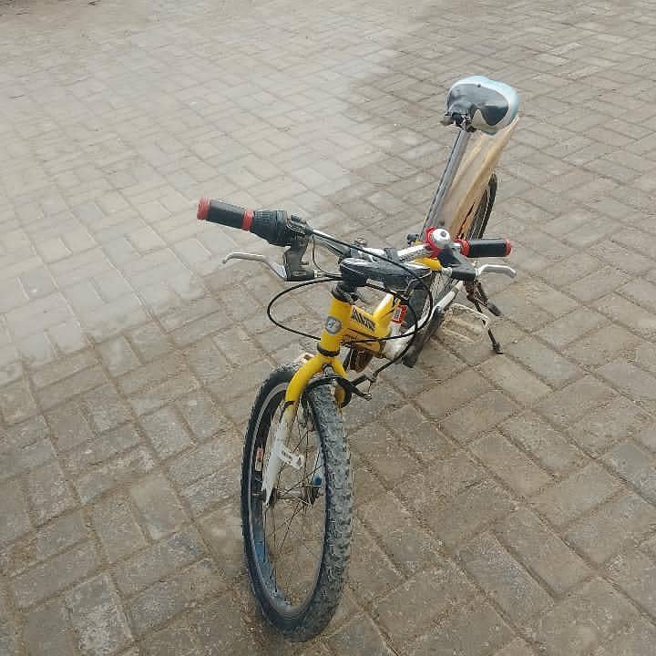 bicycle 1