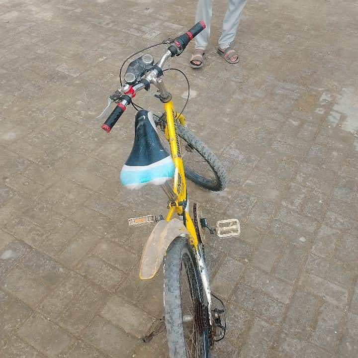 bicycle 2