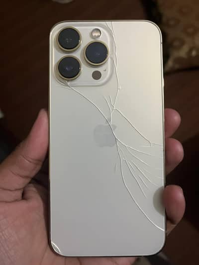Apple iPhone 13 Pro
