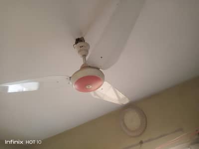 sk fan