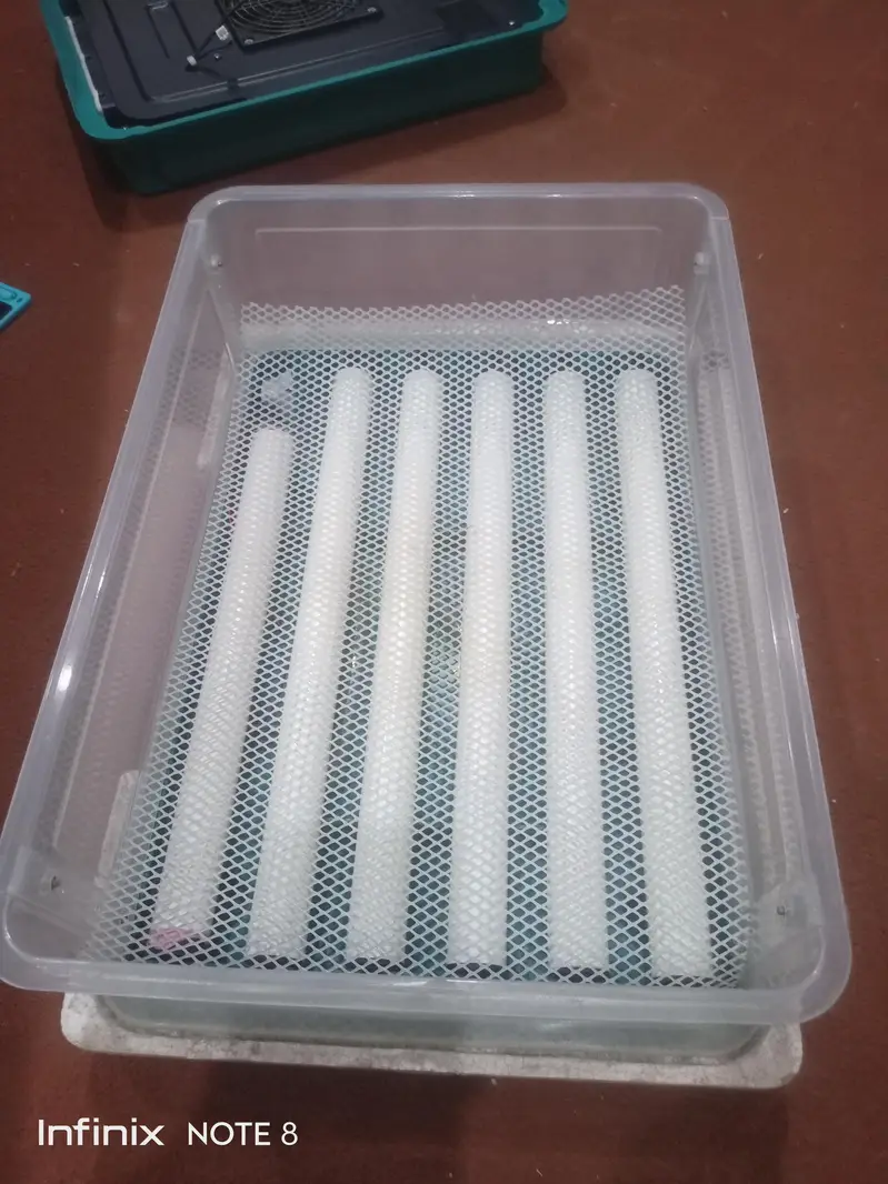 Automatic Incubator/AC/DC/Eggs Candling — photo 3