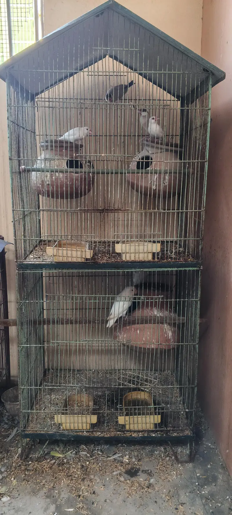 2 Portion Cage With Birds — photo 2