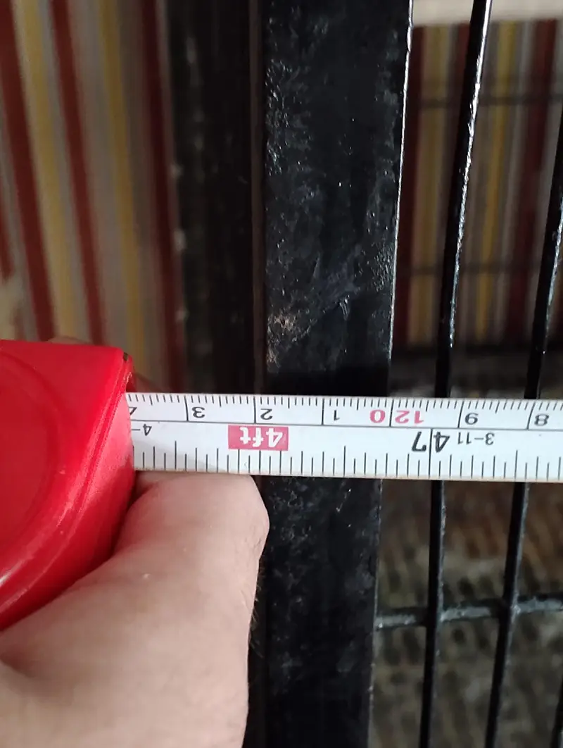 6 PORTION STRONG ANGLE WITH ALL (ACCESSORIES — photo 2