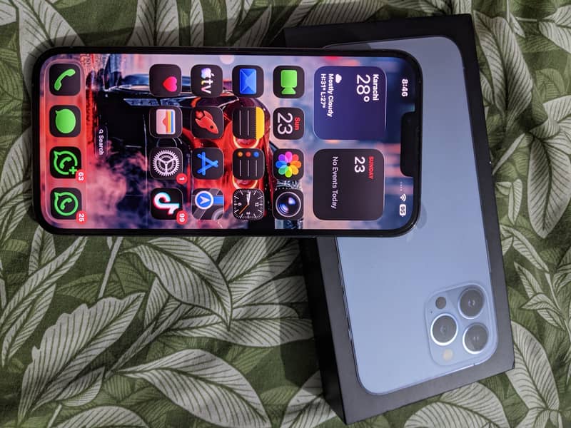 iPhone 13 Pro Max 2
