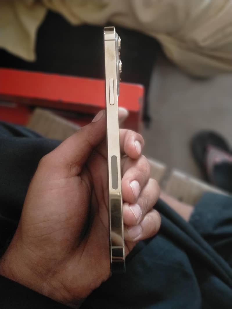 Apple iPhone 13 Pro Max 1